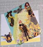 Cards ~ all-occasion