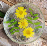 misfit coaster/trinket dish